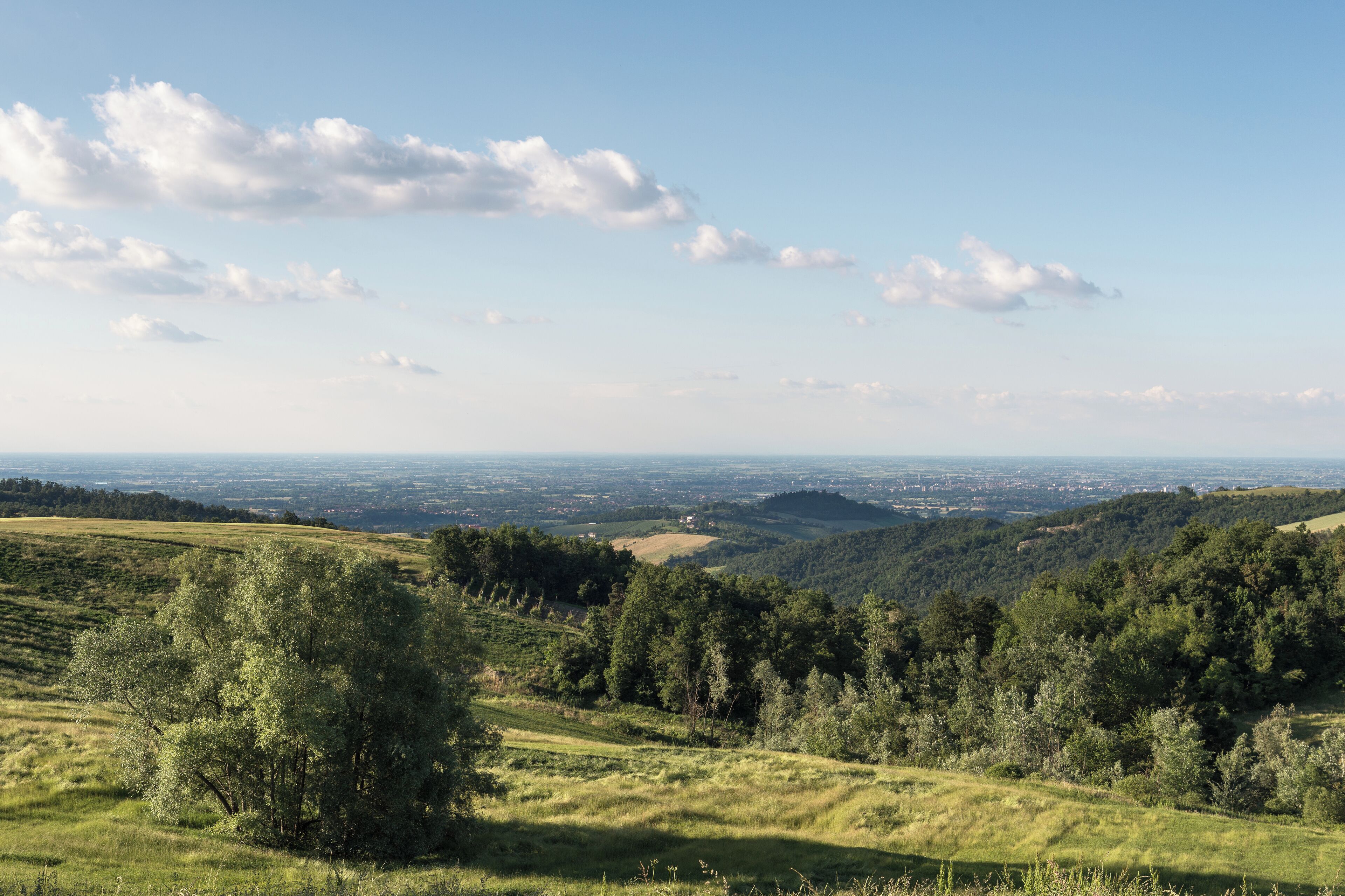 Pianura Padana - Viano (RE) Italia - 24 Maggio 2015