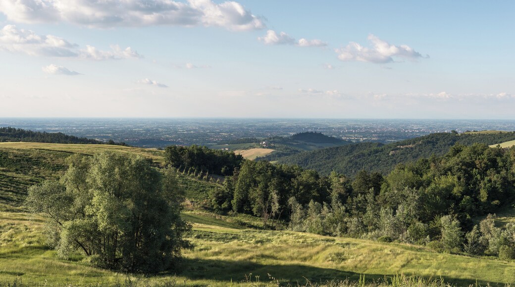 Pianura Padana - Viano (RE) Italia - 24 Maggio 2015