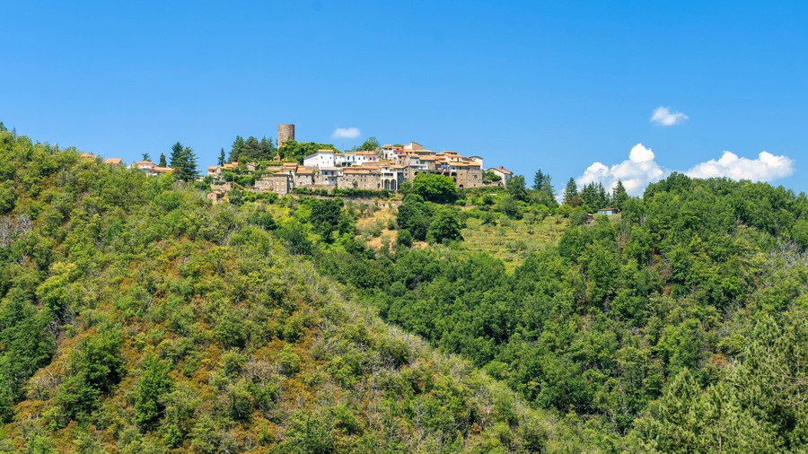 Un pueblo en la ladera con edificios construidos sobre la pendiente, rodeado de un bosque verde y frondoso.