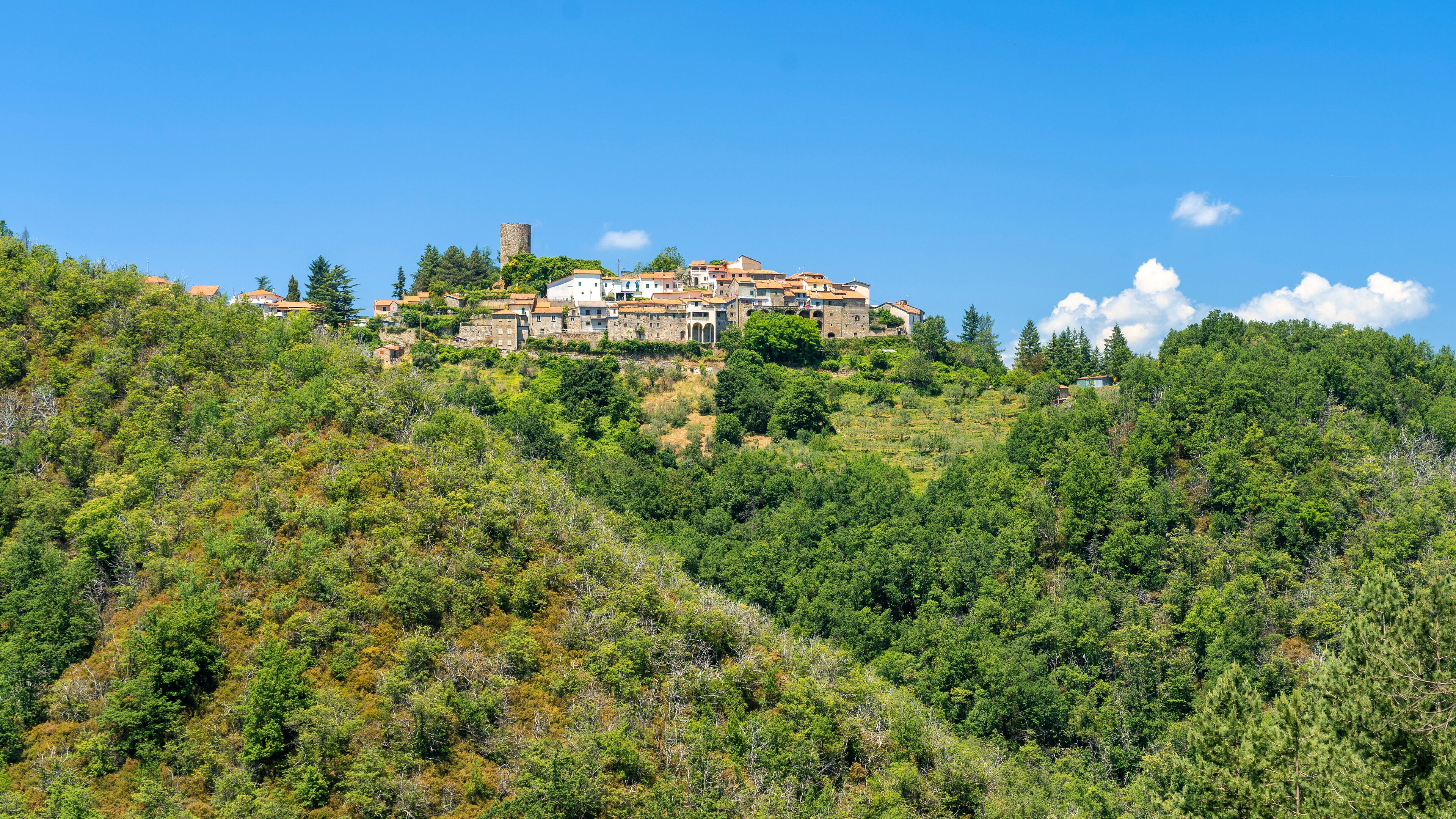 A hillside village with buildings perched on the slope, surrounded by dense green forest.