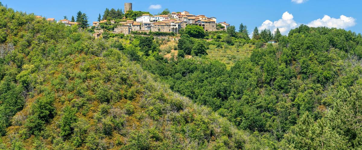 A hillside village with buildings perched on the slope, surrounded by dense green forest.