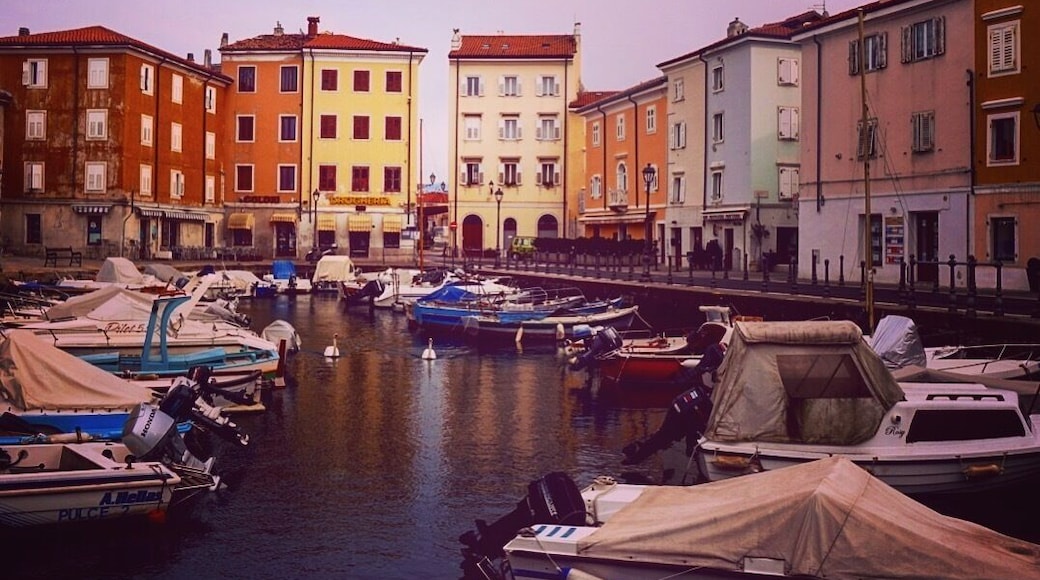 Amazing little place 20 mins by boat from Trieste