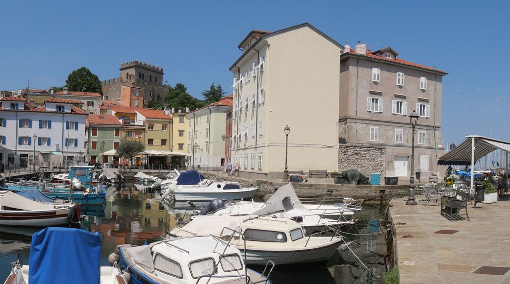 Mandracchio in Muggia : panorama of the small harbor inside the village and surrounded by ancient walls and colorful buildings. There are colored boats moored and reflected in the water.