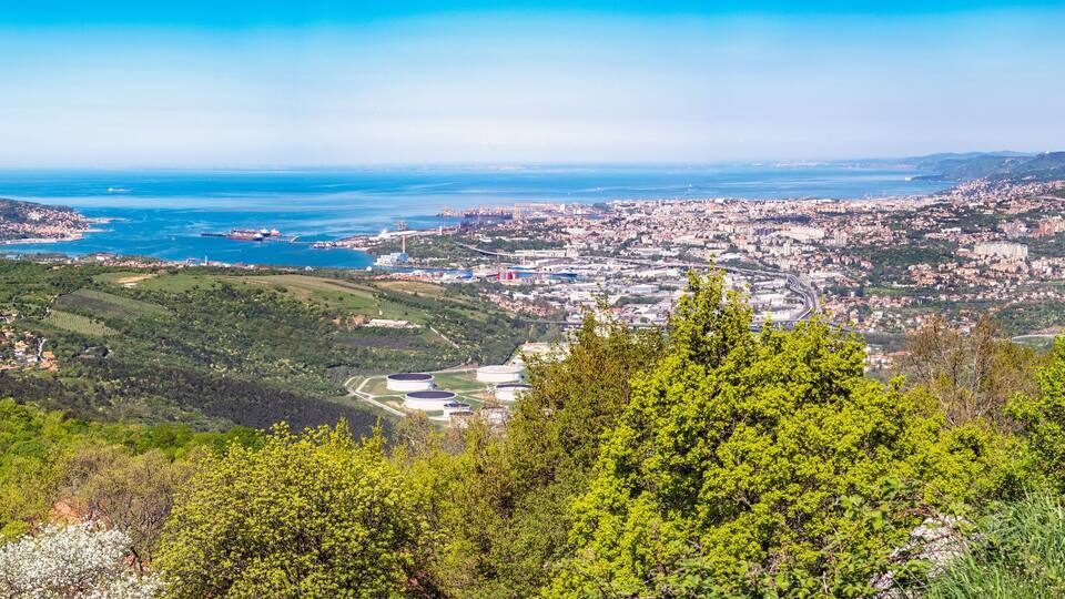 A coastal city with a mountainous backdrop, a harbor, and green hills.