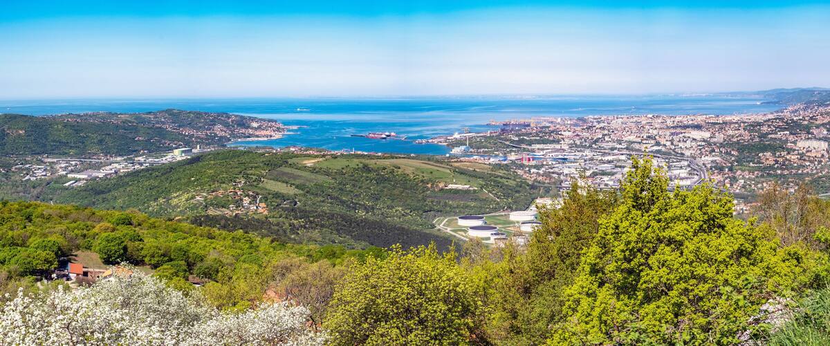 A coastal city with a mountainous backdrop, a harbor, and green hills.