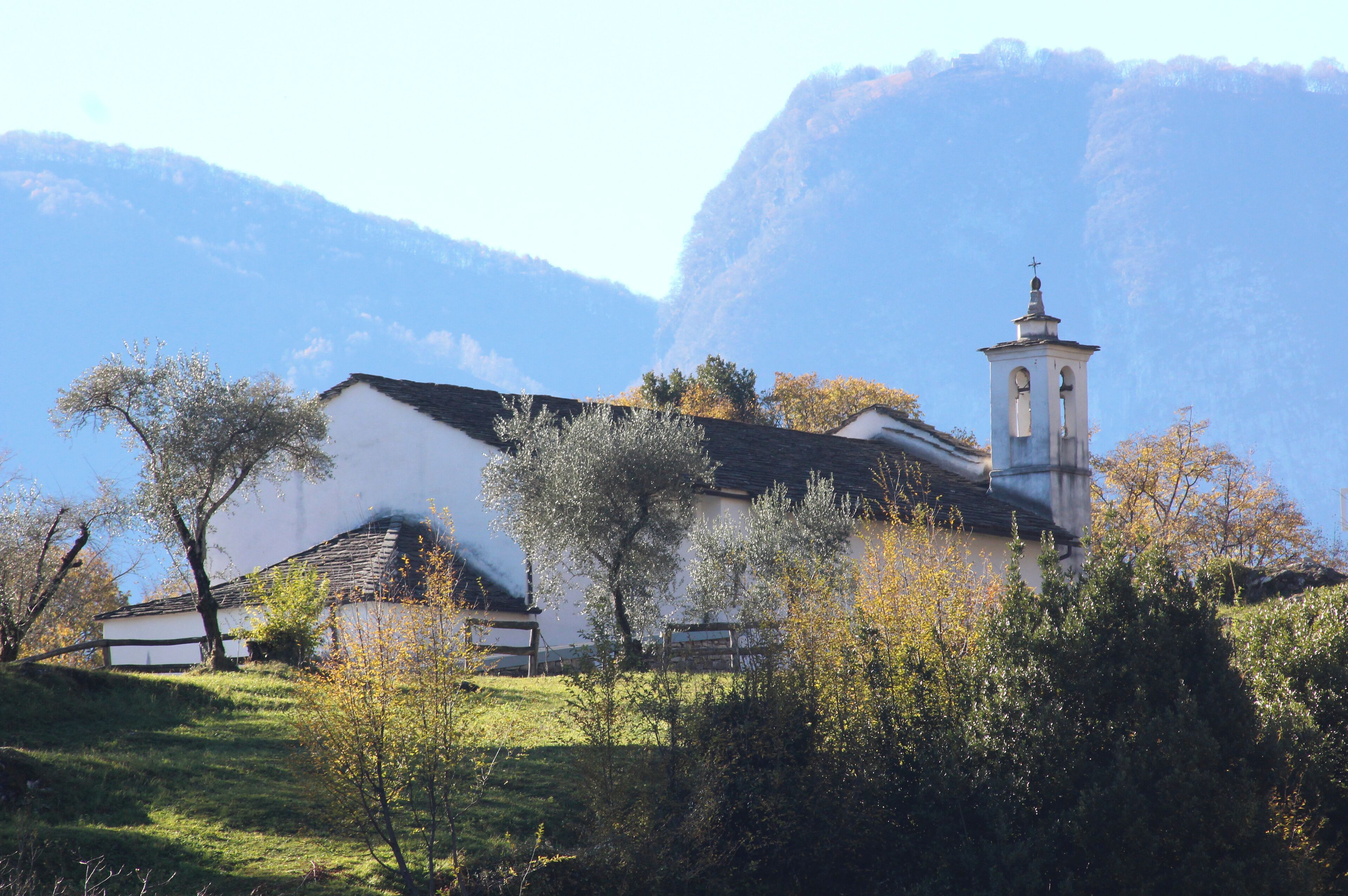 A church with a bell tower, surrounded by trees and mountains.
