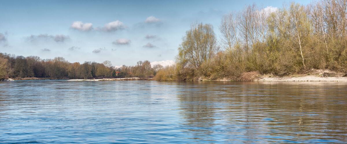 nature sceneries over the river Ticino, Abbiategrasso