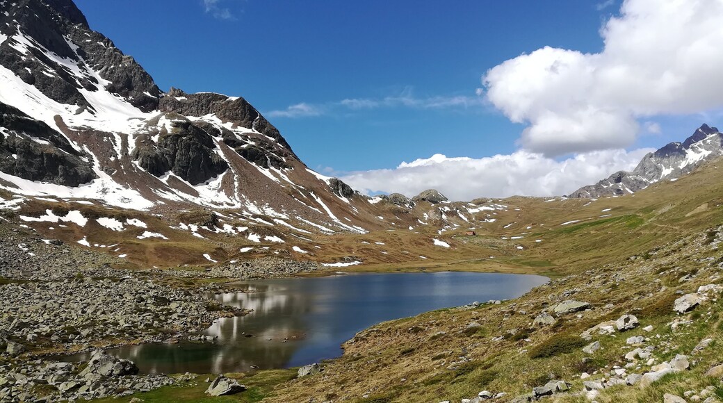 Val Viola Bormina - Ghiacciaio di Cima dei Piazzi (Q49960644)