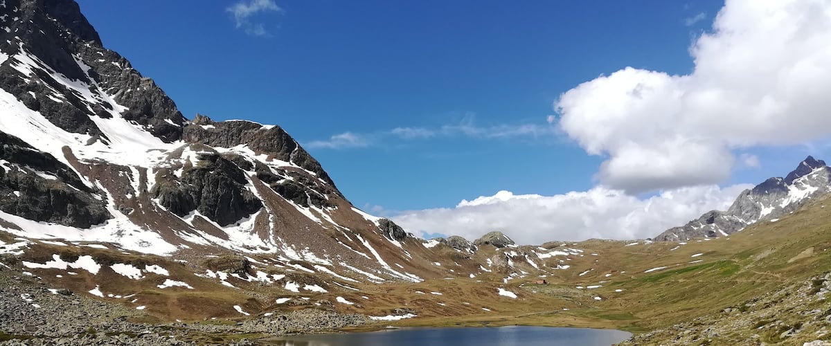 Val Viola Bormina - Ghiacciaio di Cima dei Piazzi (Q49960644)