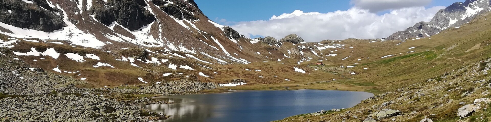 Val Viola Bormina - Ghiacciaio di Cima dei Piazzi (Q49960644)