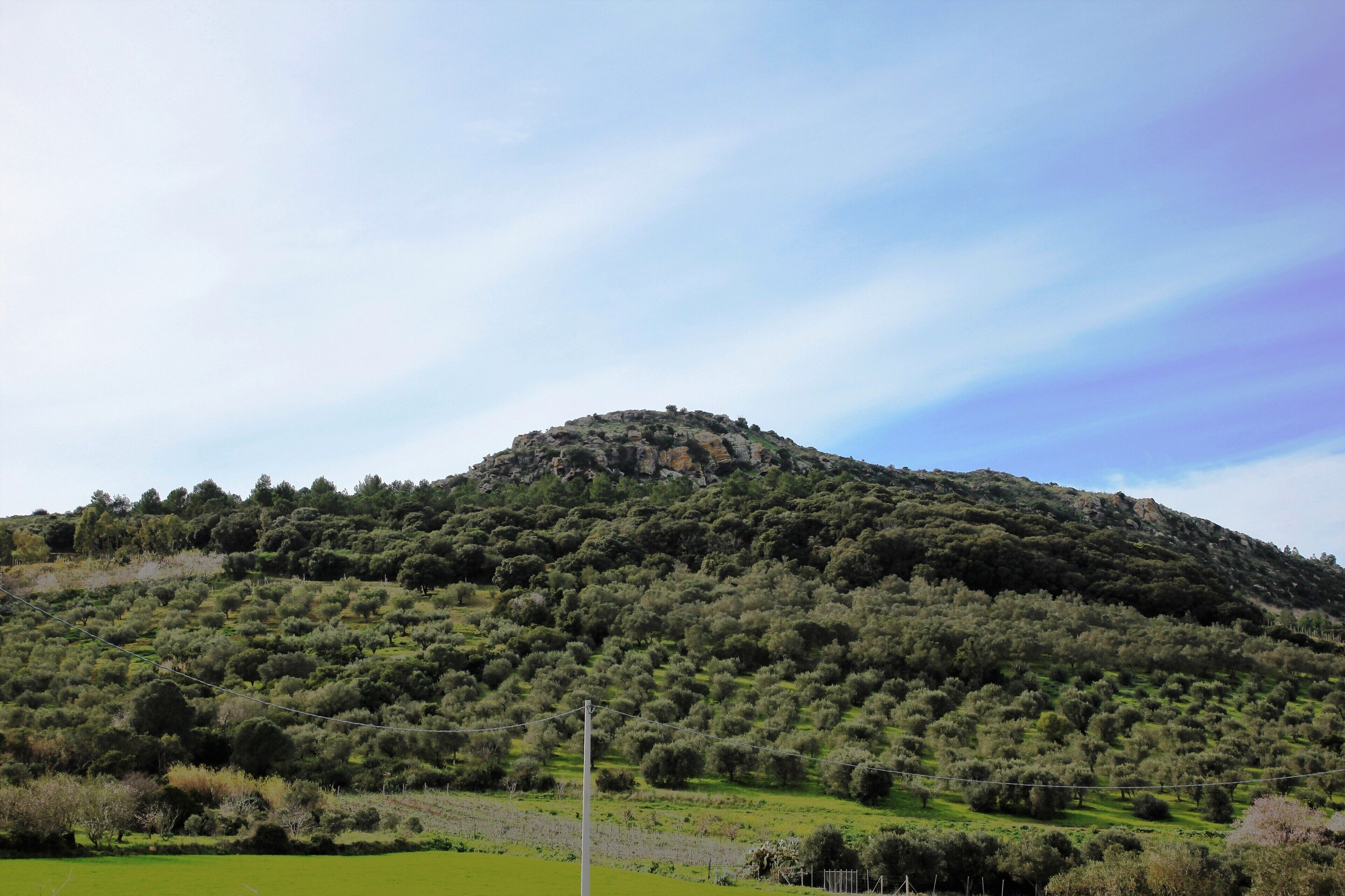 Sardara-Collinas, monte Fortuna