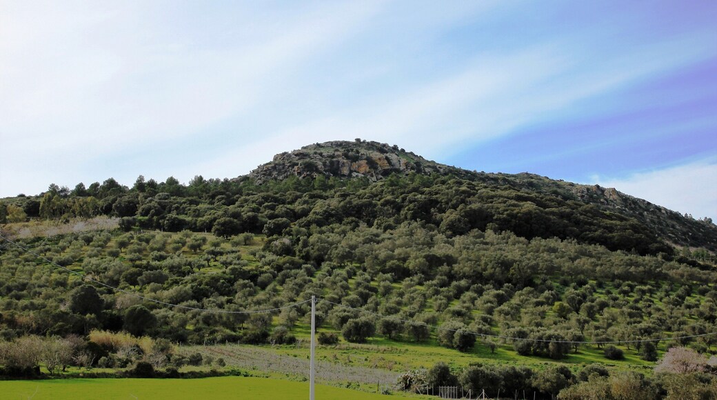 Sardara-Collinas, monte Fortuna