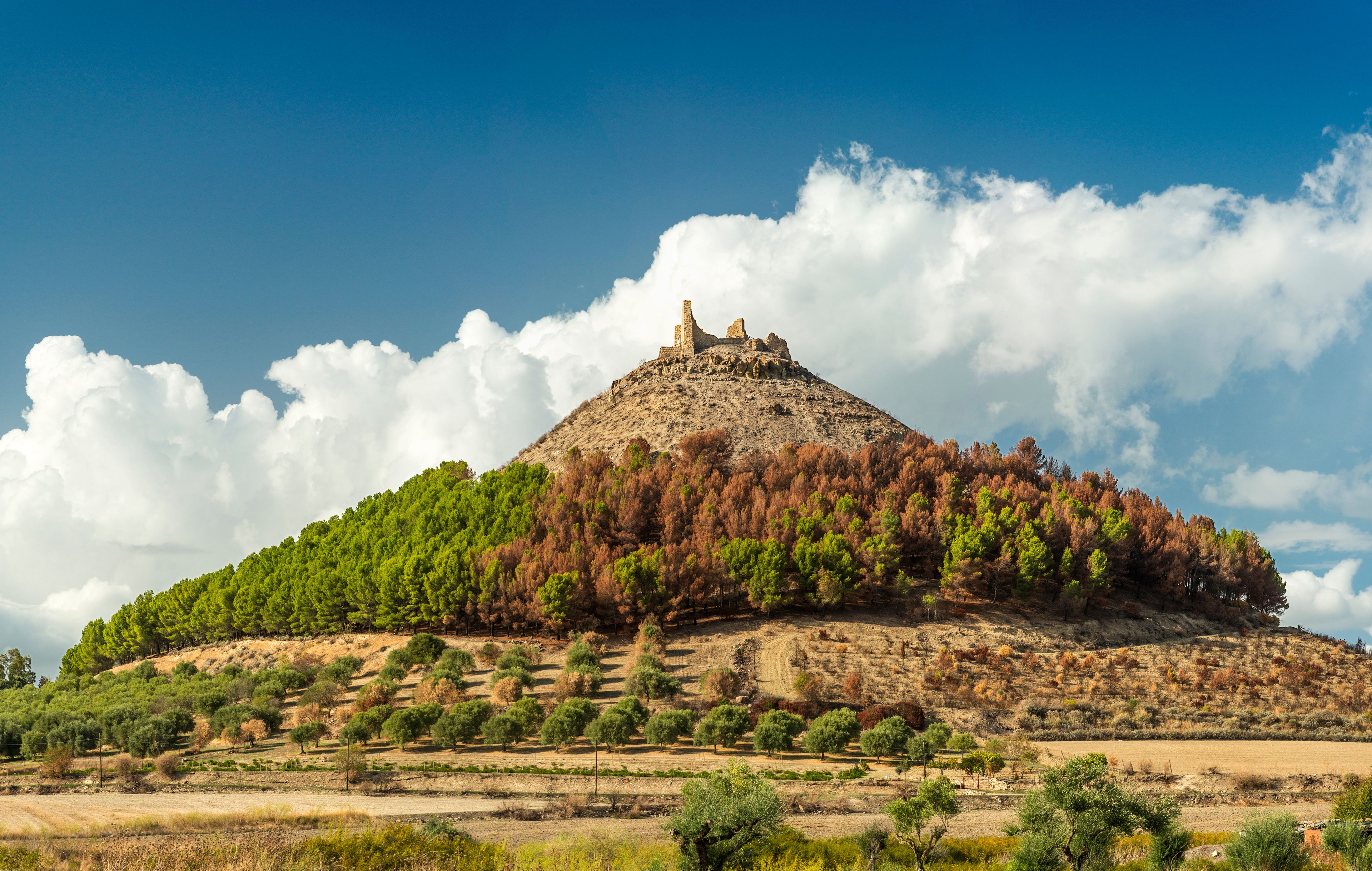 A hill with ruins at the top, surrounded by a forest of trees with autumn colors.