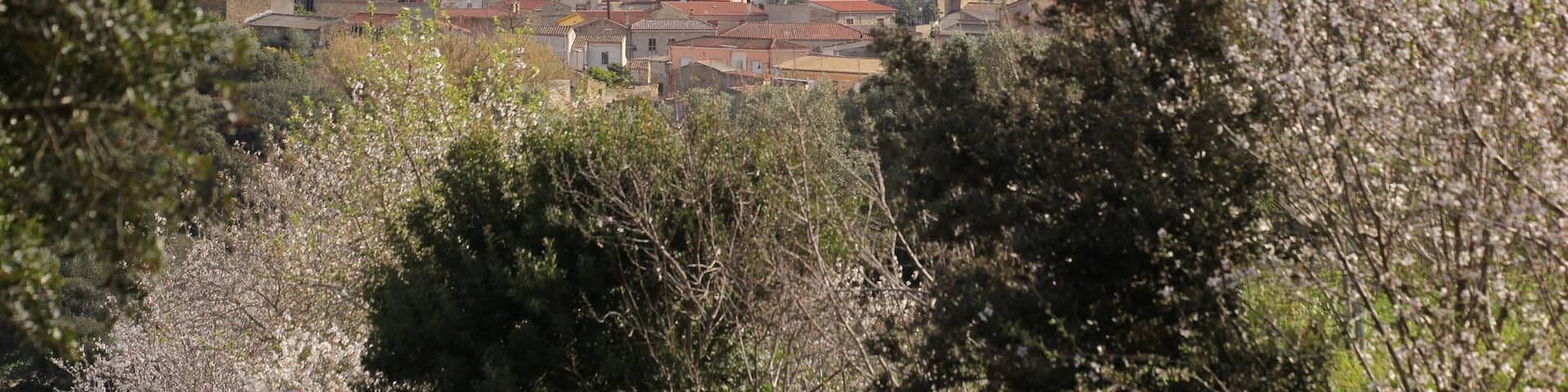 A town with red-roofed houses, a church tower, and green hills in the background.