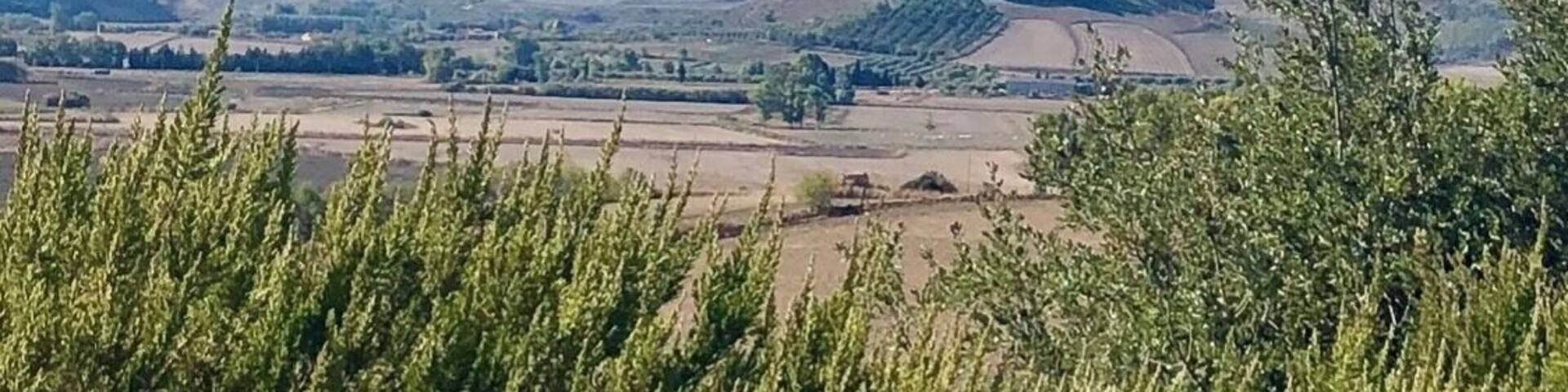 This is the view of a neighboring nuraghe complex. These watch towers cover the entire island of Sardinia!