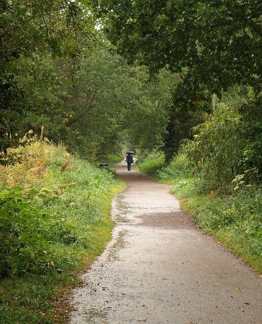 Norton Radstock Greenway. See 1528169; this is further west along the cycleway, with the trail running amongst trees to the north of Wellow Brook, and with a link just coming up on the right by the dog bin into housing on Spencer Road.