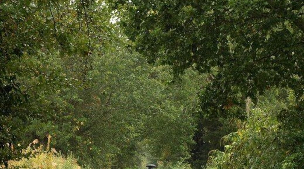 Norton Radstock Greenway. See 1528169; this is further west along the cycleway, with the trail running amongst trees to the north of Wellow Brook, and with a link just coming up on the right by the dog bin into housing on Spencer Road.