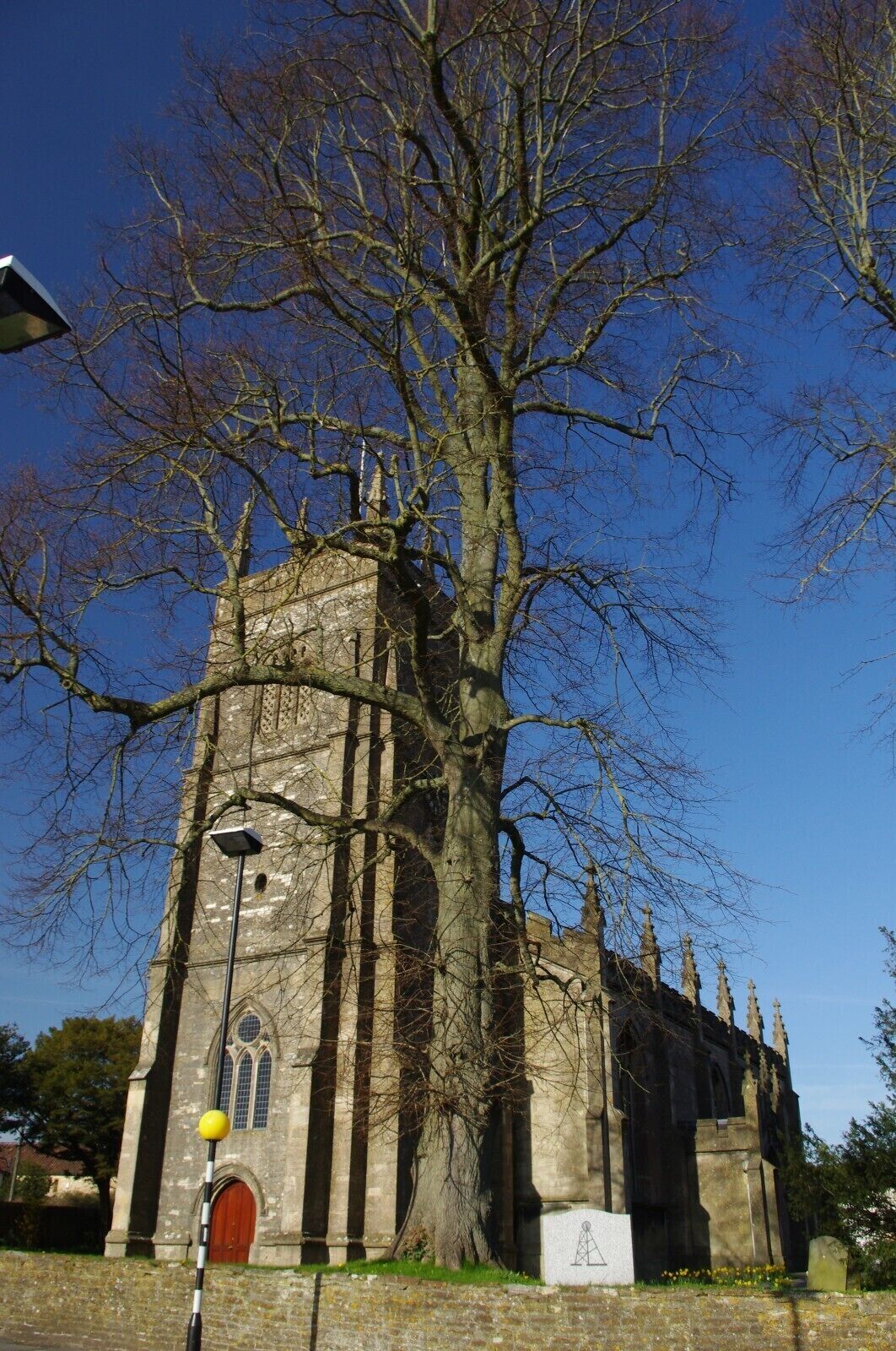 A historic church with a large tree in front.