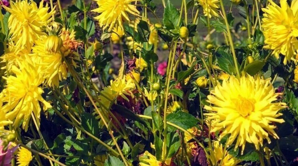 Church on the hilltop