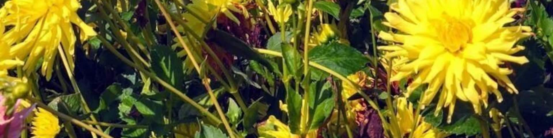 Church on the hilltop