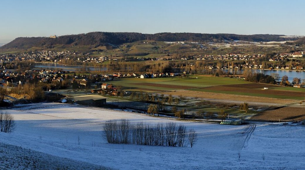 Unweit oberhalb von Eschenz an der Strasse nach Klingenzell liegt dieser Aussichtspunkt. Der Blick auf Eschenz, Stein am Rhein, Untersee und den gegenüberliegenden Schienerberg. Der aussergewöhnlich schöne Sonntag bescherte nahezu ideale Verhältnisse. EXIF Daten: SONY - DSLR-A700 03.01.2010 15:25 1/320 s - f/10 - ISO 200 - 45 mm / 67 mm Aufnahmestandort - Höhe / Koordinate: Eschenz Freudenfels 498 m – 708621 / 277597 (N47.64003 E8.88410) Blickrichtung: 359° - Öffnungswinkel: 135° Panorama aus 19 x 3 (BRK) Hochformataufnahmen. Kamera auf Stativ und mit Novoflex-Panoplatte inkl. Eigenbau-Nodalpunktadapter.