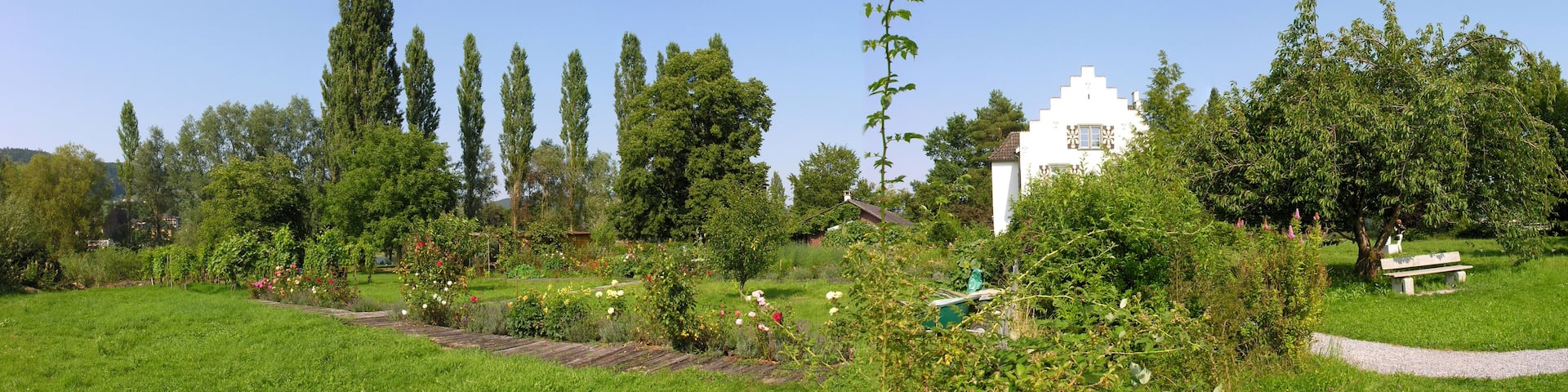 Werd Island near Stein am Rhein