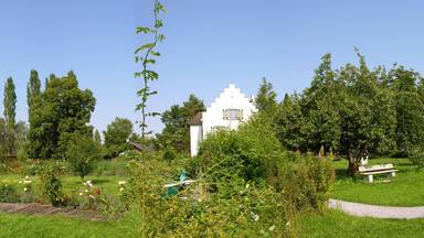 Werd Island near Stein am Rhein