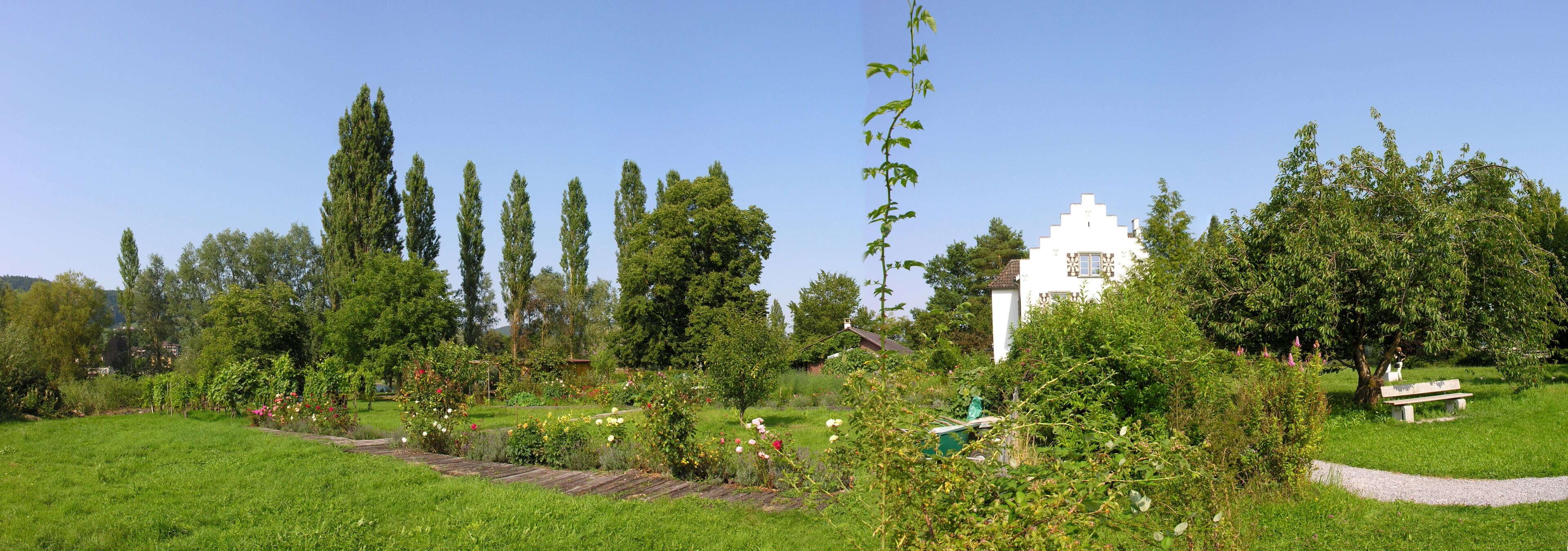 A lush garden with a variety of flowering plants, tall trees, and a white building.