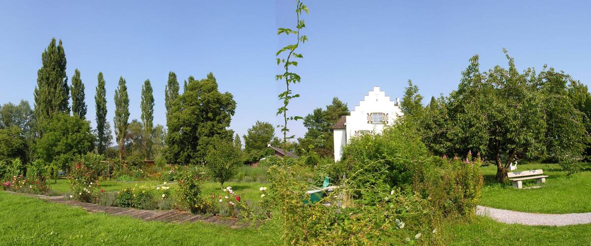 A lush garden with a variety of flowering plants, tall trees, and a white building.