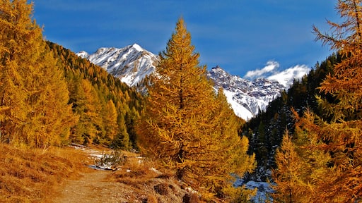 Val Trupchun, Swiss National Park, in Autumn.