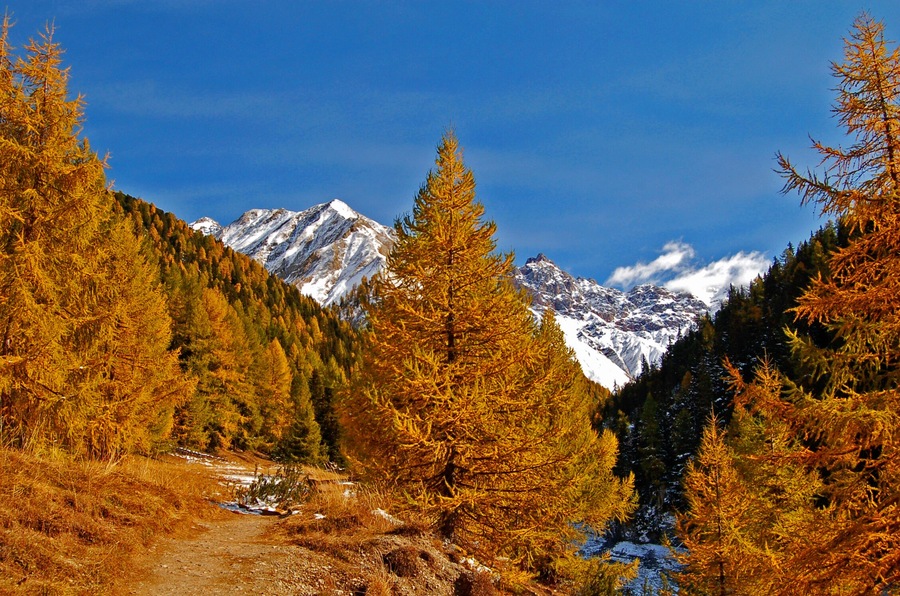 Val Trupchun, Swiss National Park, in Autumn.