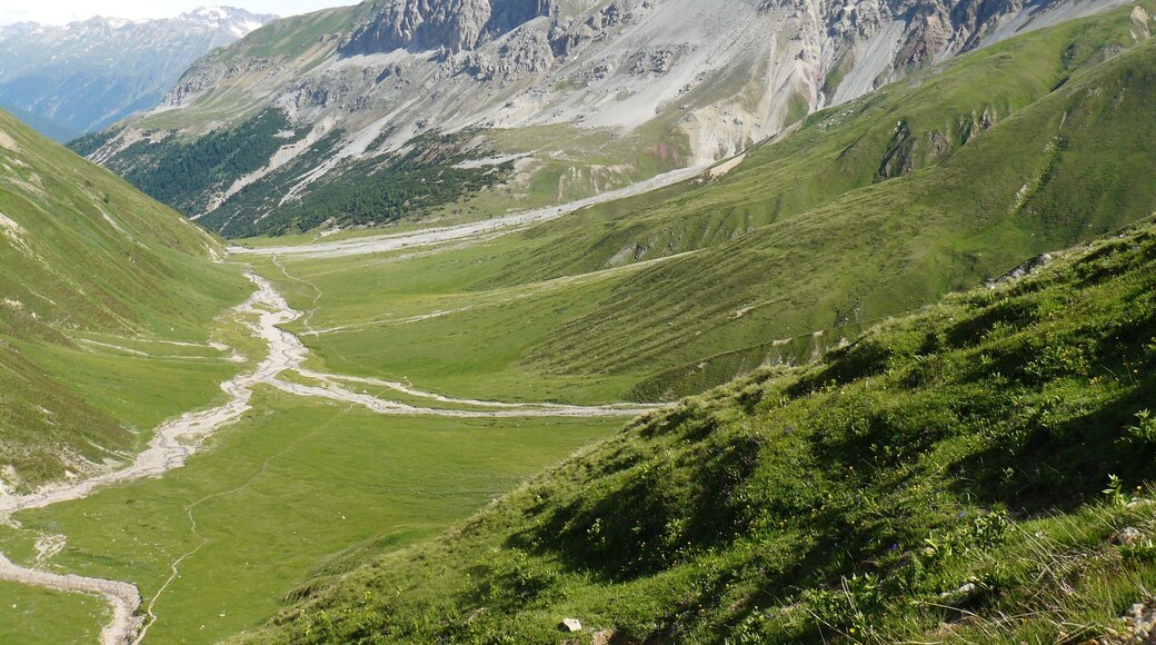 View to Alp Chaschauna