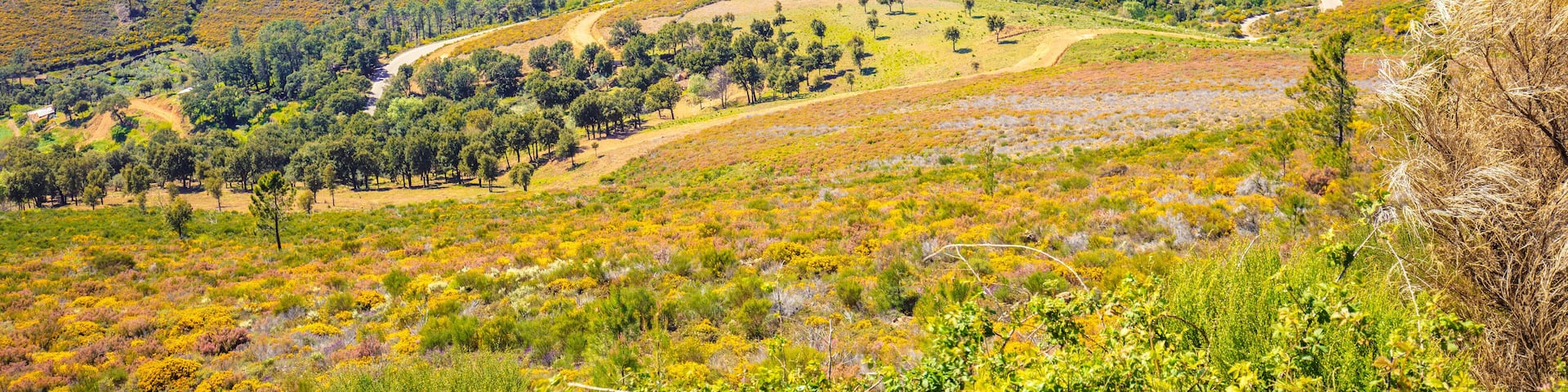Beautiful panoramic mountain landscape. View from mount of valley and mountains. Picturesque landscape in Valverde Del Fresno, Cáceres, Spain