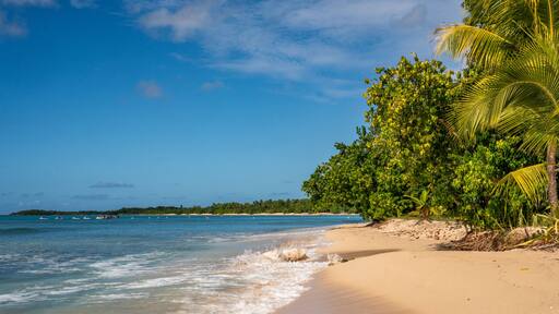 ポアント ノアール