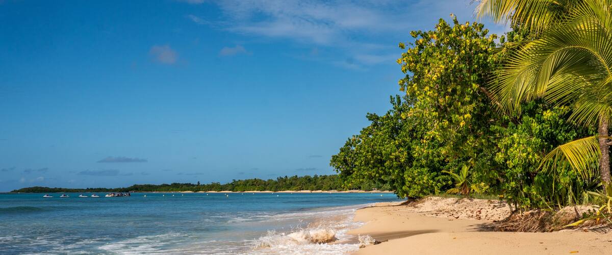 A beach with clear blue water, sandy shore, and lush green vegetation.