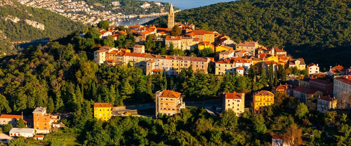 A coastal town with historic buildings, a prominent tower, and a dense forested hillside.