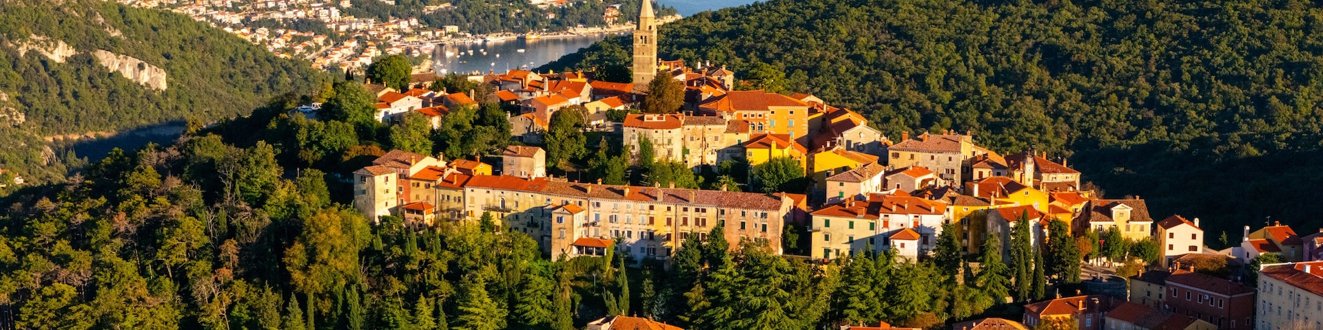 A coastal town with historic buildings, a prominent tower, and a dense forested hillside.