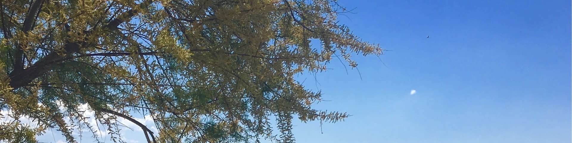 Lovely place at Seget Vranjica, Dalmatia
#AquaTrove