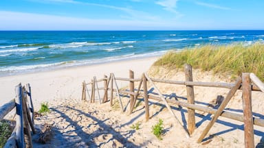 Path to beach in Bialogora village, Baltic Sea, Poland; Shutterstock ID 529006915