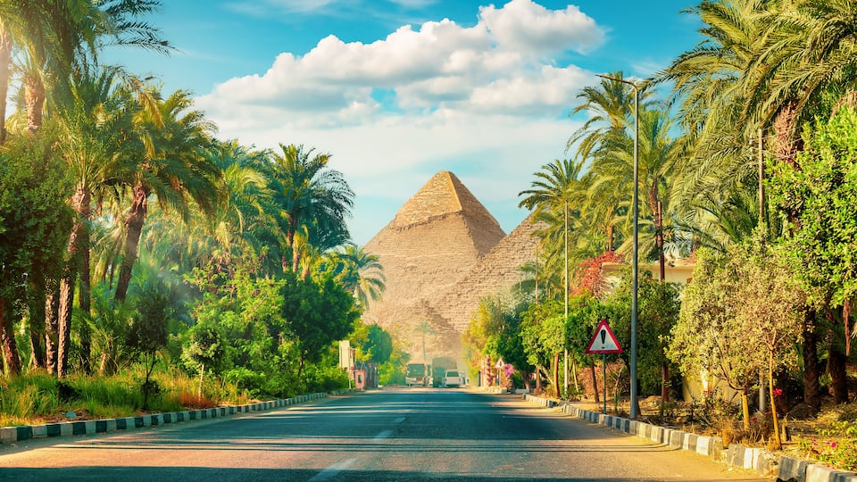 A road lined with palm trees and a pyramid in the distance.