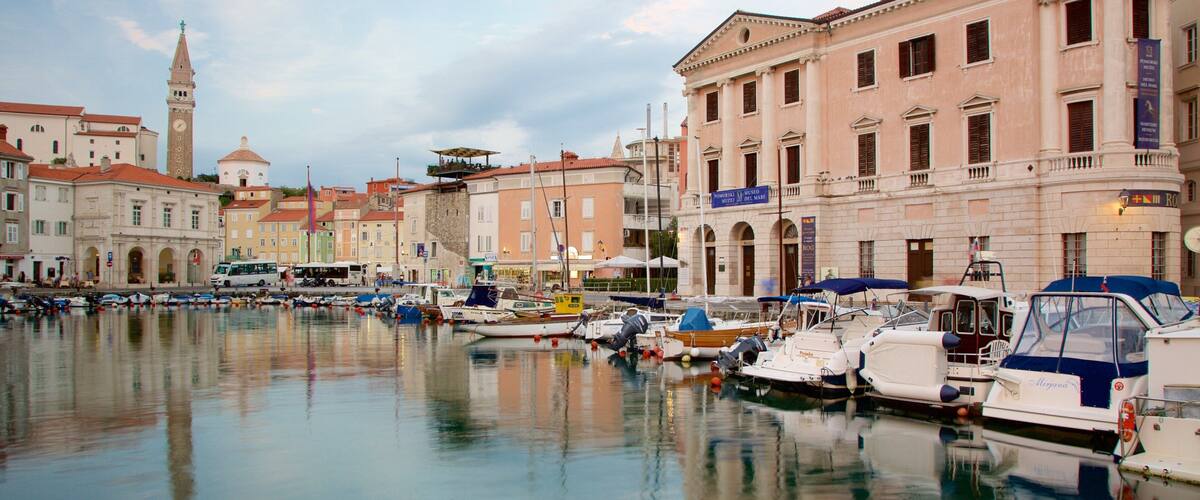 Piran mettant en vedette vues littorales, marina et ville côtière