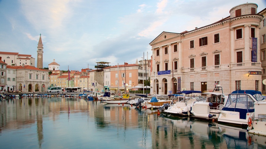 Piran mettant en vedette vues littorales, marina et ville côtière