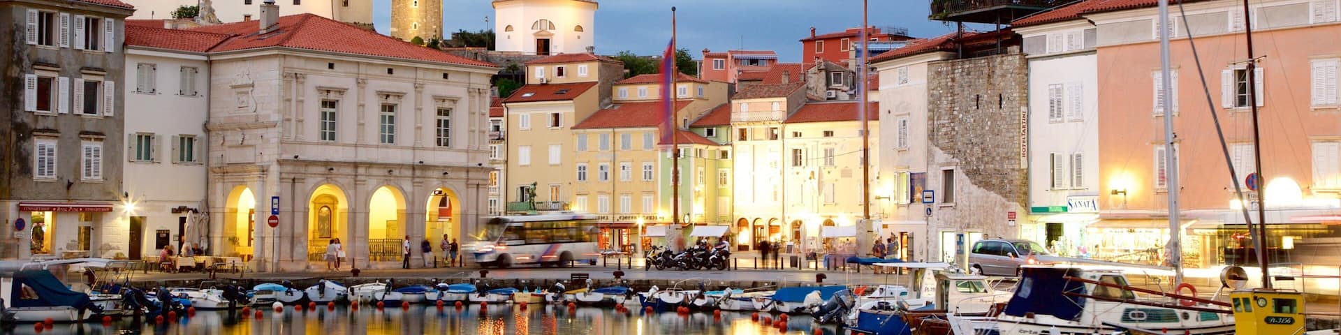 Piran showing a marina, boating and night scenes