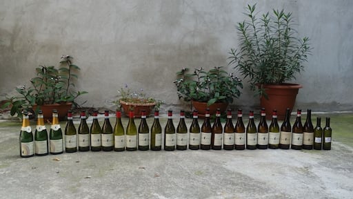 Vineyard near Turin, Italy
#Adventure
Vineyard lunch with Italian restaurant managers- priceless!