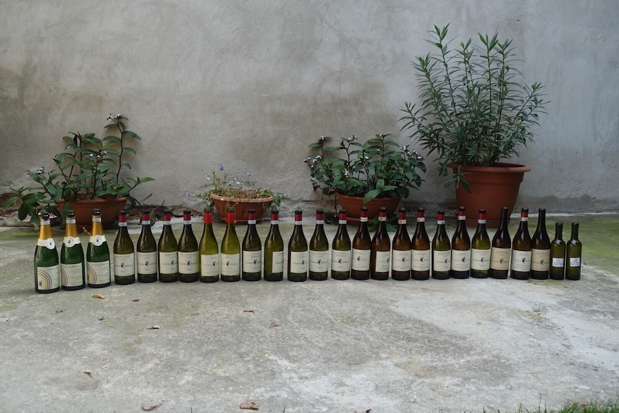 Vineyard near Turin, Italy
#Adventure
Vineyard lunch with Italian restaurant managers- priceless!