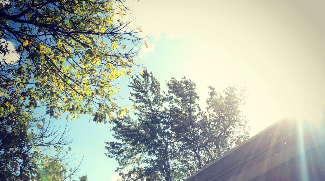 Sun comes back after a thunderstorm.
Everything smells wet and fresh.
No matter where I travel, fall is my favorite..