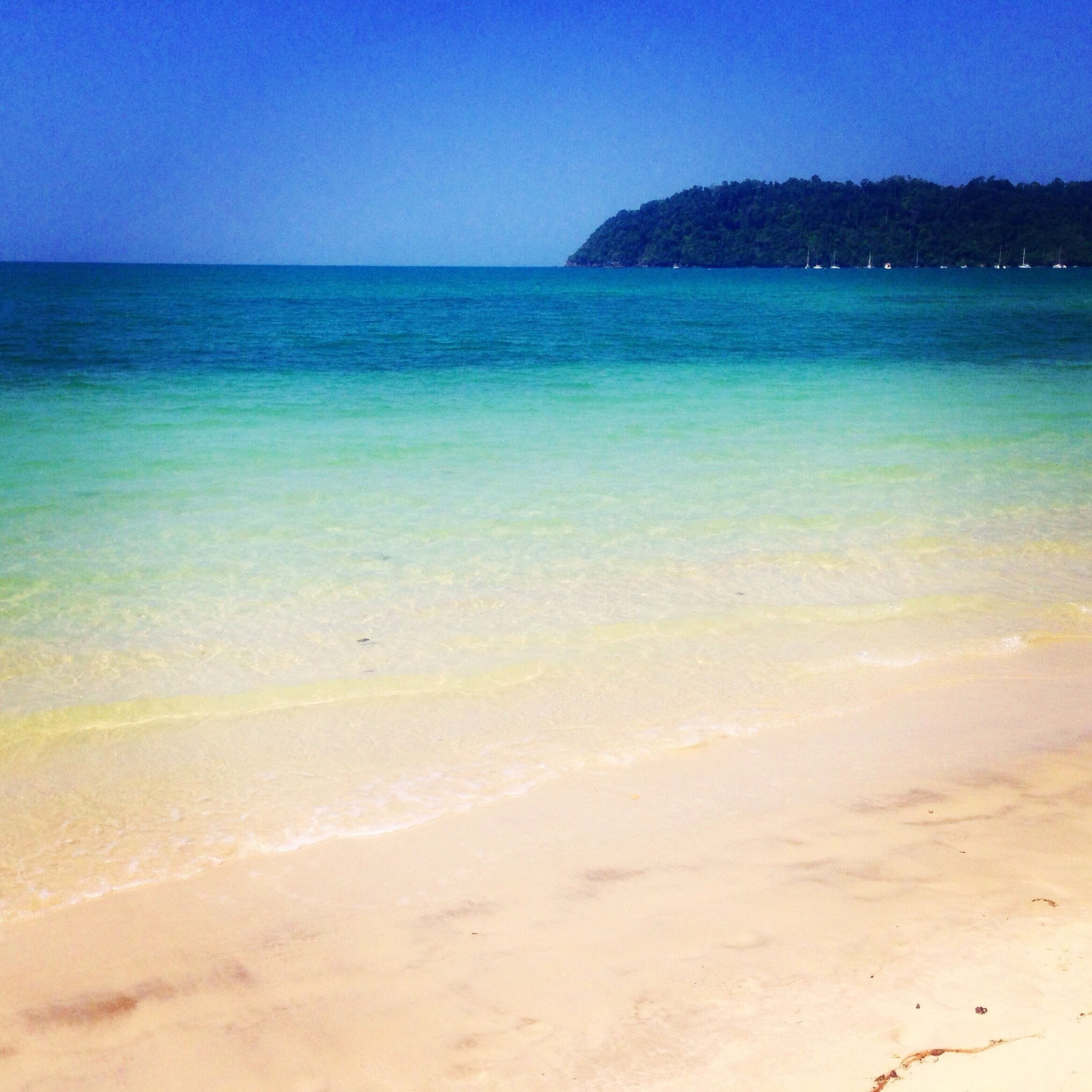 Another day in Paradise and I'm loving it. I've never seen white sandy beaches before. Naturally, I'm over the moon with my first Thai island experience! Can you see how clear the water is? 
I'm in love with Koh Phayam. I read some accounts of people finding the island too quiet. This is precisely what I adore about it. No cars. Not too many people (you can always find a beach with no one around, such as this one). Relaxed vibe. Relaxed life. 
Have just ventured up north and serendipitously found a restaurant right by the beach - we are not the only ones here: there are many monkeys wandering around!  🌴☀️👍💕🙈😊🌸

##alifefullofserendipity #serendipitytess #serendipity #traveling #travelblog #travelstoke #traveltheworld #travelphotography #travellifestyle #paradise #perfect #whitesand #beach #perfectbeach #tropical #dive #snorkelling #kohphayam #thai #thailand #thainess #photooftheday #happiness #happymoment #happy 