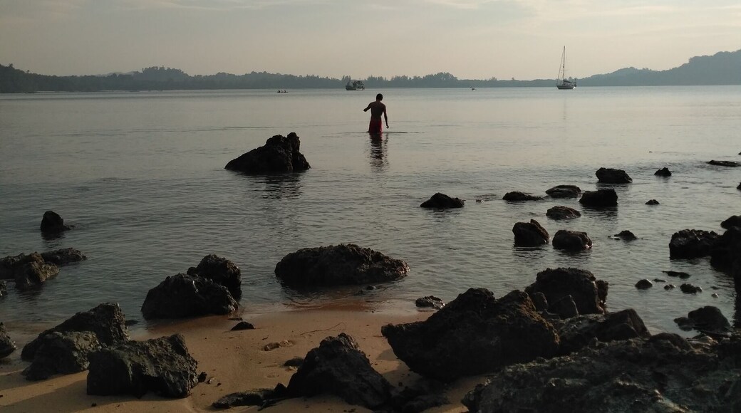 Beautiful beach surrounded by jungle