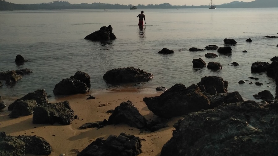 Beautiful beach surrounded by jungle