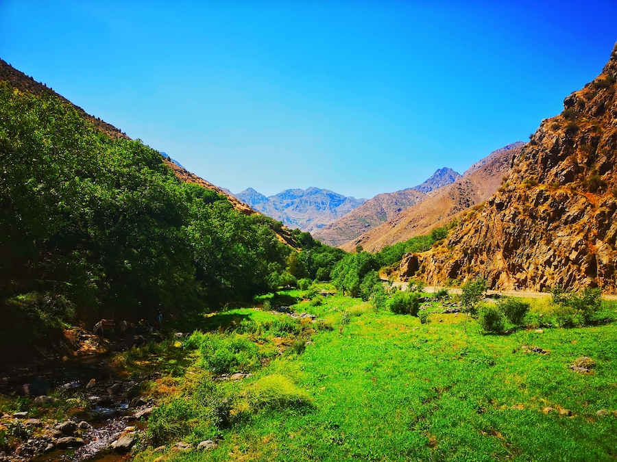 ⛰️